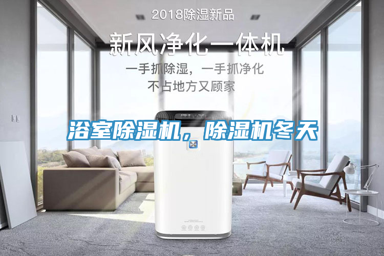 浴室除濕機，除濕機冬天