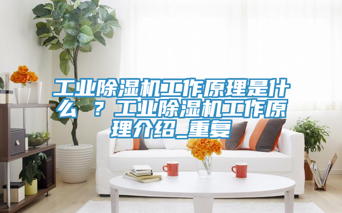 工業(yè)除濕機(jī)工作原理是什么 ？工業(yè)除濕機(jī)工作原理介紹_重復(fù)
