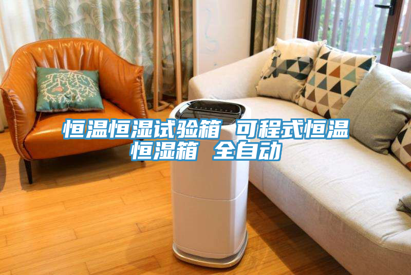 恒溫恒濕試驗(yàn)箱 可程式恒溫恒濕箱 全自動(dòng)