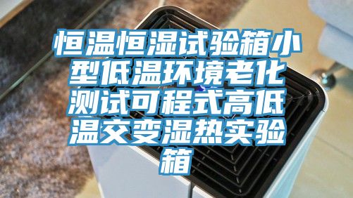 恒溫恒濕試驗箱小型低溫環(huán)境老化測試可程式高低溫交變濕熱實驗箱