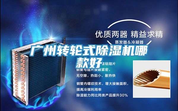 廣州轉(zhuǎn)輪式除濕機(jī)哪款好