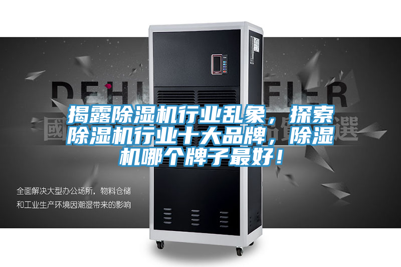 揭露除濕機(jī)行業(yè)亂象，探索除濕機(jī)行業(yè)十大品牌，除濕機(jī)哪個(gè)牌子最好！