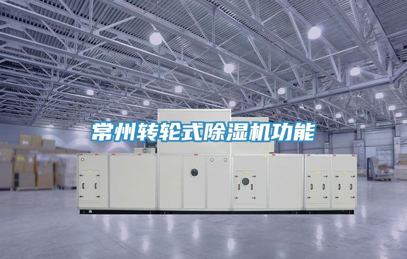 常州轉(zhuǎn)輪式除濕機(jī)功能