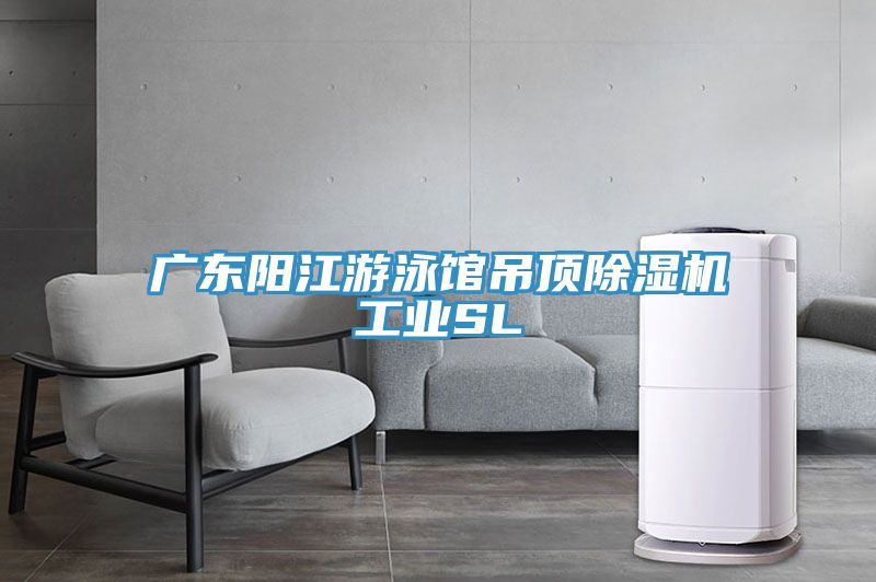 廣東陽江游泳館吊頂除濕機工業(yè)SL
