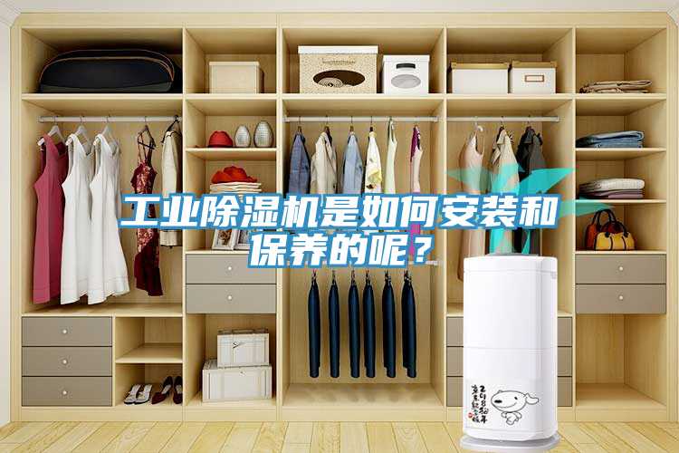 工業(yè)除濕機是如何安裝和保養(yǎng)的呢？