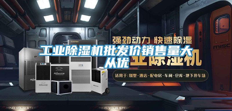 工業(yè)除濕機(jī)批發(fā)價銷售量大從優(yōu)