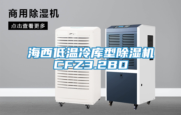 海西低溫冷庫型除濕機CFZ3.2BD