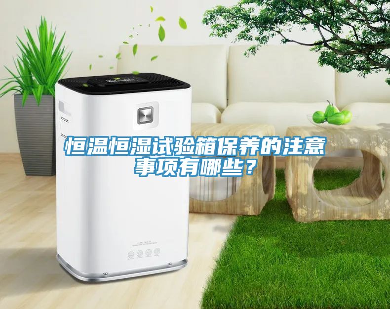 恒溫恒濕試驗箱保養(yǎng)的注意事項有哪些？