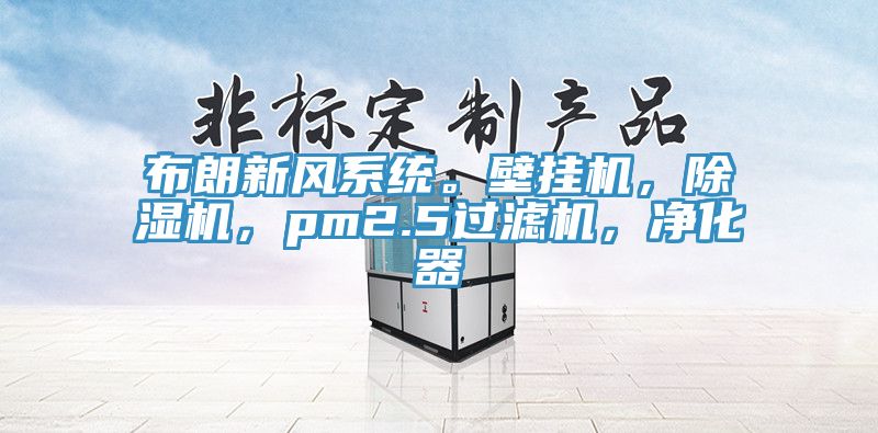 布朗新風(fēng)系統(tǒng)。壁掛機(jī)，除濕機(jī)，pm2.5過濾機(jī)，凈化器