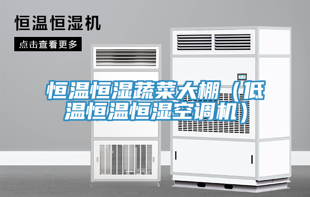 恒溫恒濕蔬菜大棚（低溫恒溫恒濕空調(diào)機(jī)）