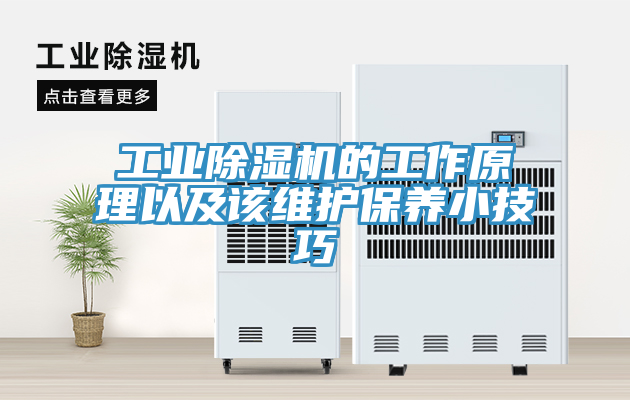 工業(yè)除濕機(jī)的工作原理以及該維護(hù)保養(yǎng)小技巧