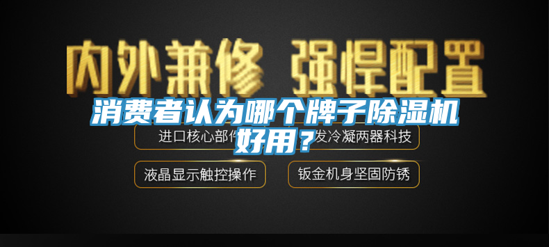 消費者認(rèn)為哪個牌子除濕機好用？