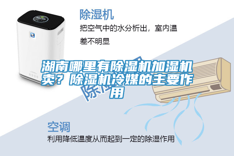 湖南哪里有除濕機加濕機賣？除濕機冷媒的主要作用