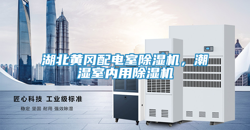 湖北黃岡配電室除濕機，潮濕室內(nèi)用除濕機