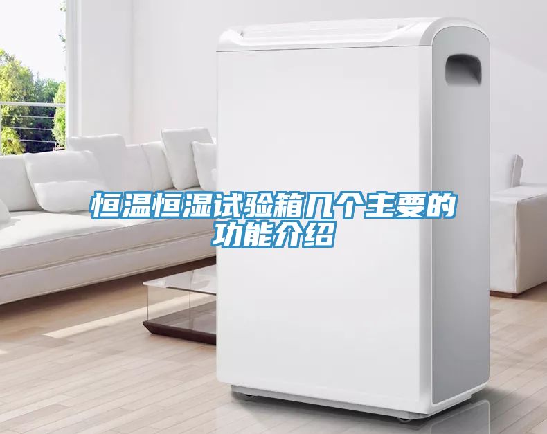 恒溫恒濕試驗(yàn)箱幾個(gè)主要的功能介紹