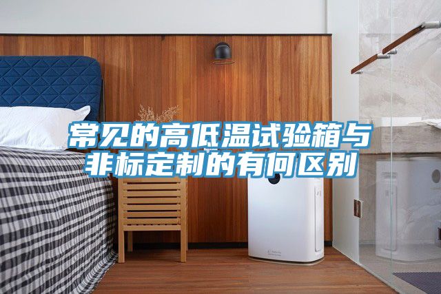 常見的高低溫試驗(yàn)箱與非標(biāo)定制的有何區(qū)別