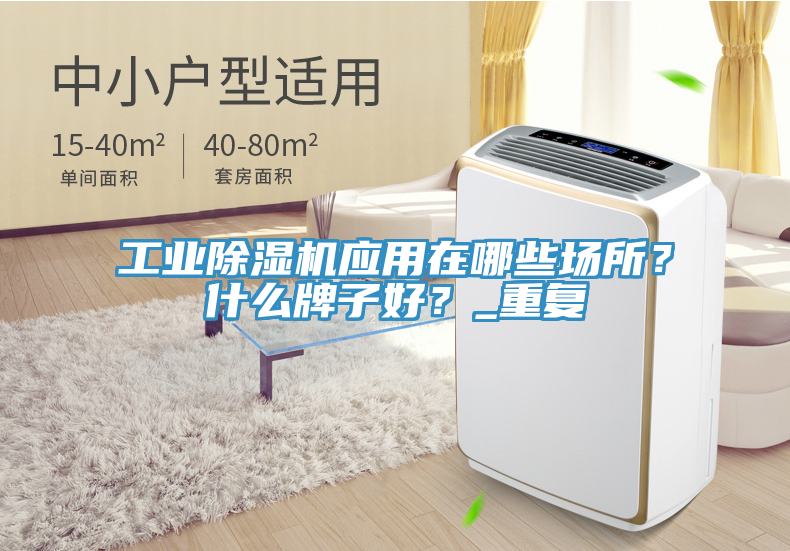 工業(yè)除濕機(jī)應(yīng)用在哪些場(chǎng)所？什么牌子好？_重復(fù)