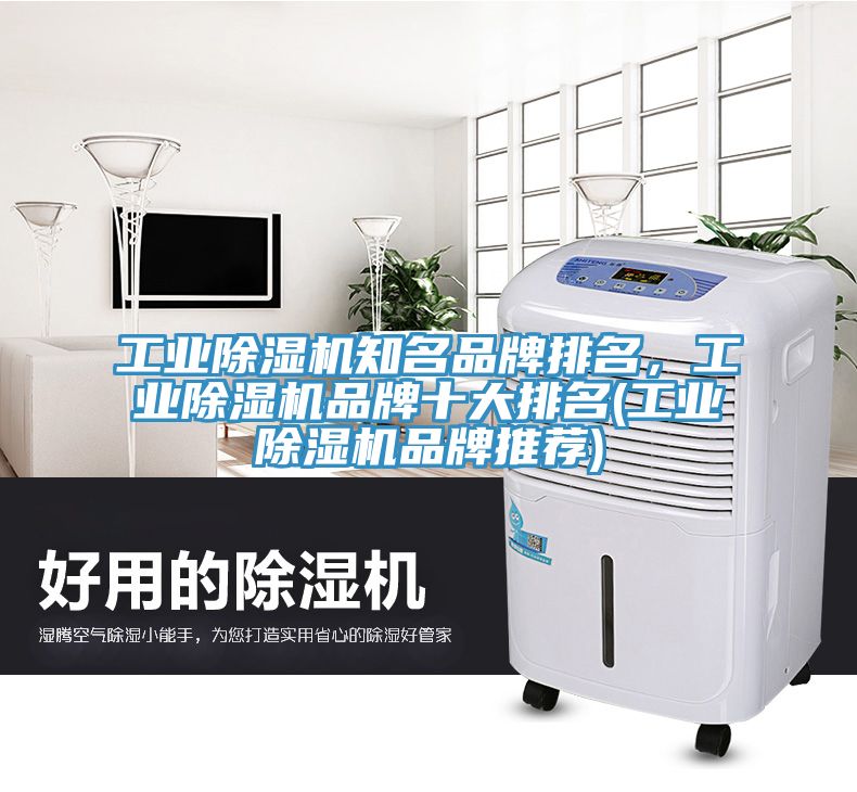 工業(yè)除濕機(jī)知名品牌排名，工業(yè)除濕機(jī)品牌十大排名(工業(yè)除濕機(jī)品牌推薦)