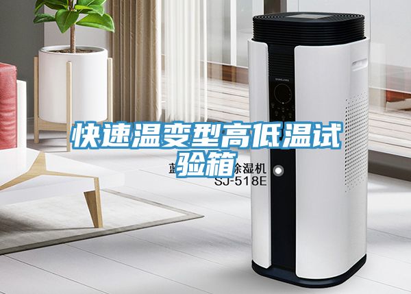 快速溫變型高低溫試驗(yàn)箱
