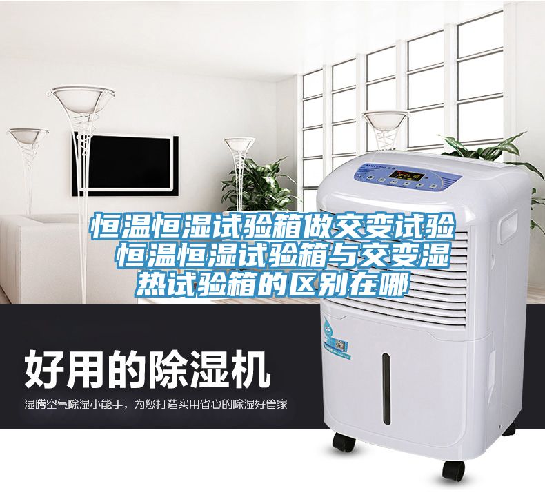 恒溫恒濕試驗箱做交變試驗 恒溫恒濕試驗箱與交變濕熱試驗箱的區(qū)別在哪