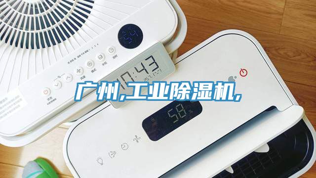 廣州,工業(yè)除濕機(jī),