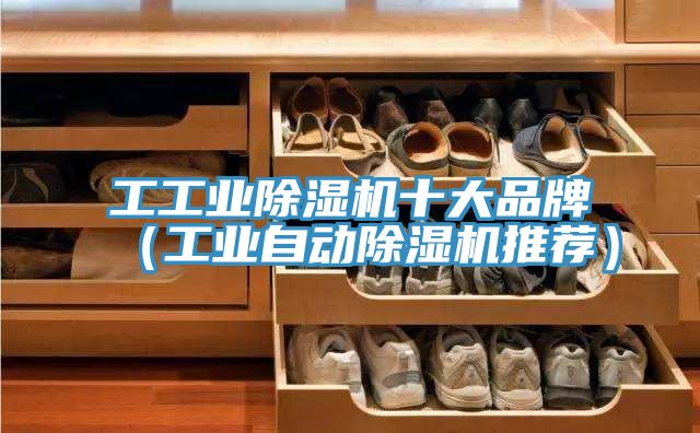工工業(yè)除濕機(jī)十大品牌（工業(yè)自動(dòng)除濕機(jī)推薦）