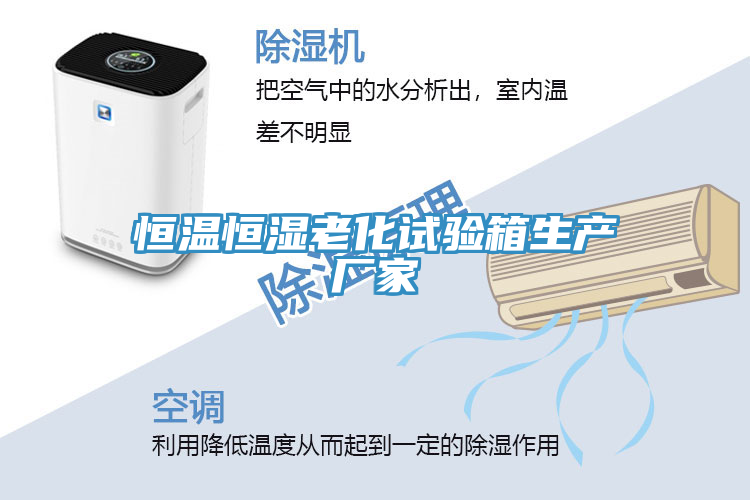 恒溫恒濕老化試驗(yàn)箱生產(chǎn)廠家