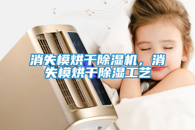 消失模烘干除濕機，消失模烘干除濕工藝