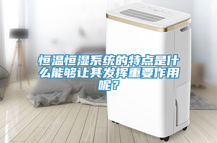 恒溫恒濕系統(tǒng)的特點是什么能夠讓其發(fā)揮重要作用呢？