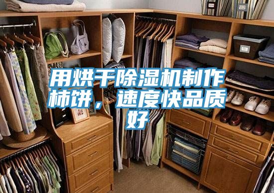 用烘干除濕機(jī)制作柿餅，速度快品質(zhì)好