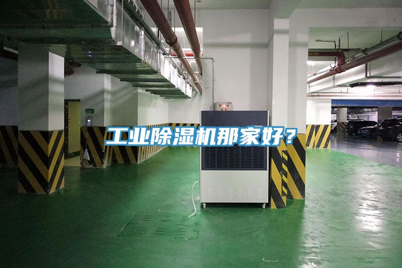 工業(yè)除濕機(jī)那家好？