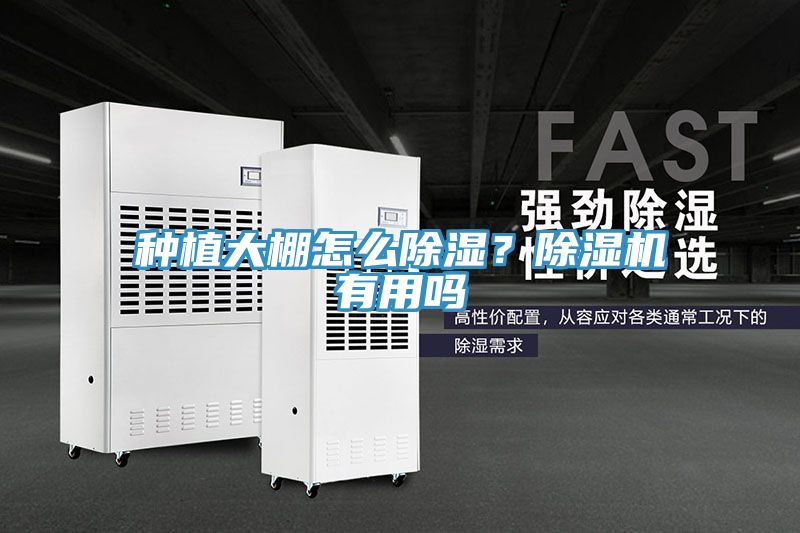 種植大棚怎么除濕？除濕機(jī)有用嗎