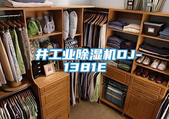 東井工業(yè)除濕機(jī)DJ-1381E