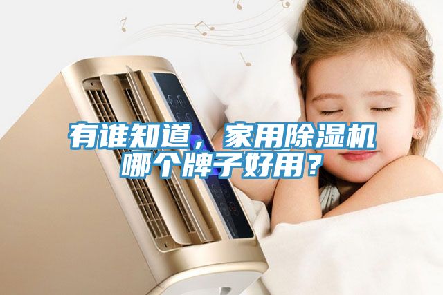 有誰知道，家用除濕機(jī)哪個(gè)牌子好用？