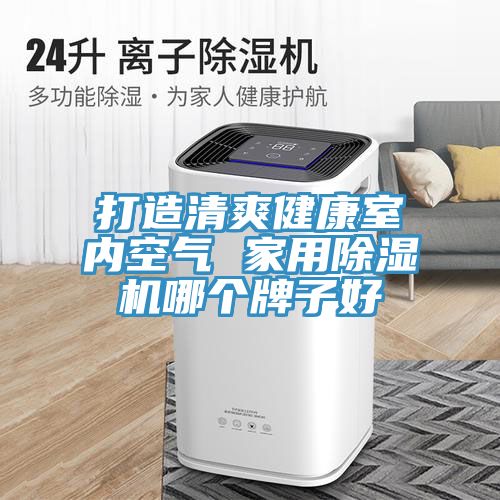 打造清爽健康室內(nèi)空氣 家用除濕機哪個牌子好
