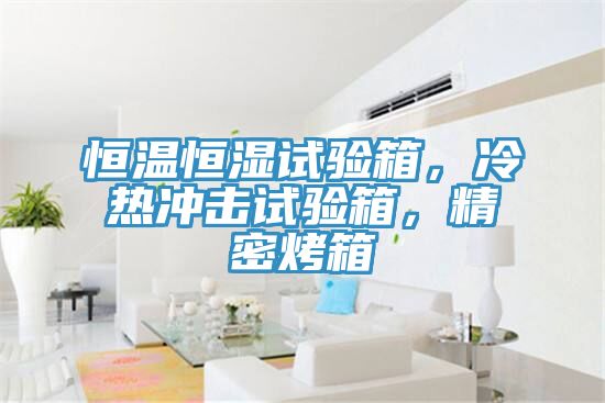 恒溫恒濕試驗(yàn)箱，冷熱沖擊試驗(yàn)箱，精密烤箱