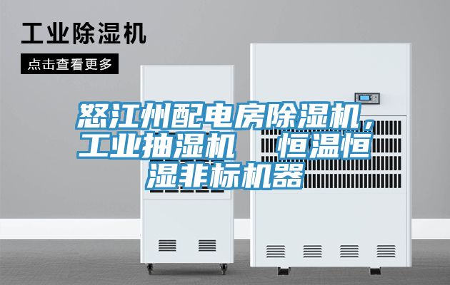 怒江州配電房除濕機(jī)，工業(yè)抽濕機(jī)  恒溫恒濕非標(biāo)機(jī)器