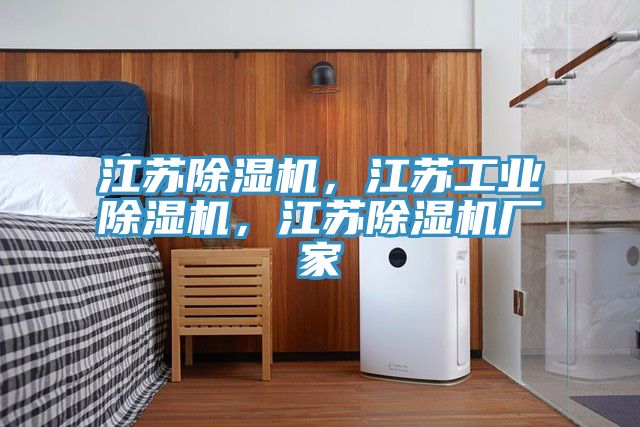 江蘇除濕機，江蘇工業(yè)除濕機，江蘇除濕機廠家