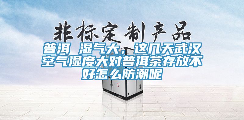 普洱 濕氣大，這幾天武漢空氣濕度大對(duì)普洱茶存放不好怎么防潮呢