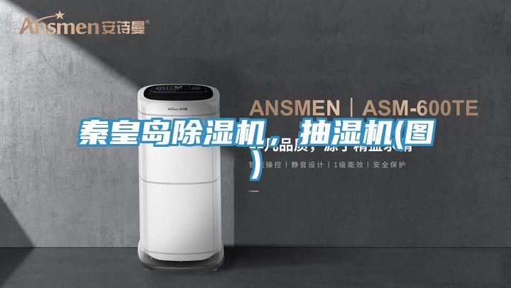 秦皇島除濕機(jī)，抽濕機(jī)(圖)