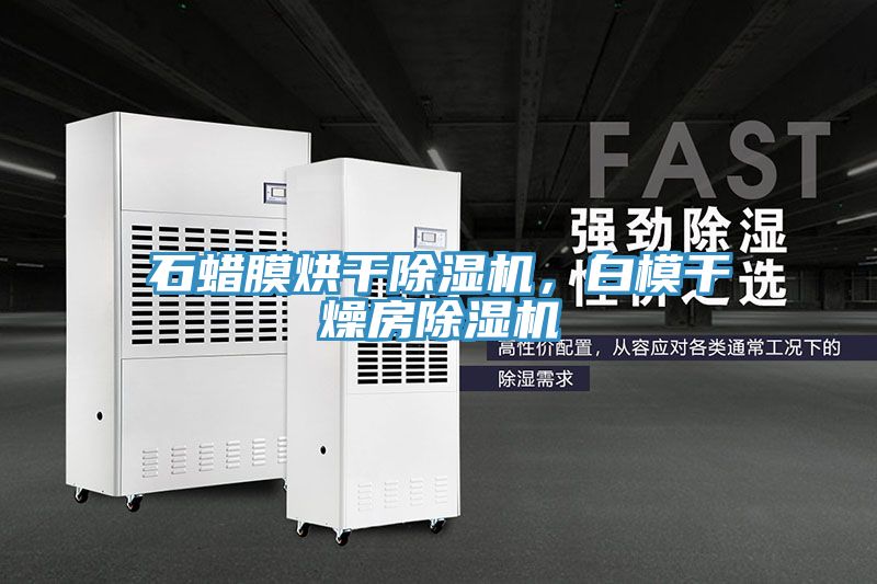 石蠟膜烘干除濕機，白模干燥房除濕機