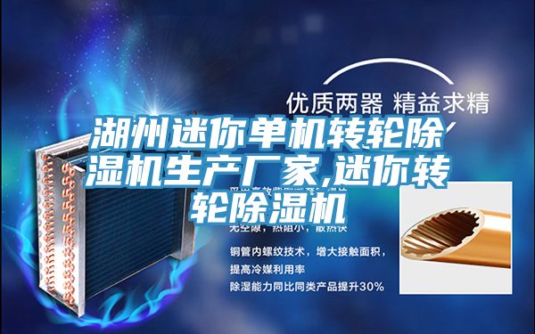 湖州迷你單機轉(zhuǎn)輪除濕機生產(chǎn)廠家,迷你轉(zhuǎn)輪除濕機