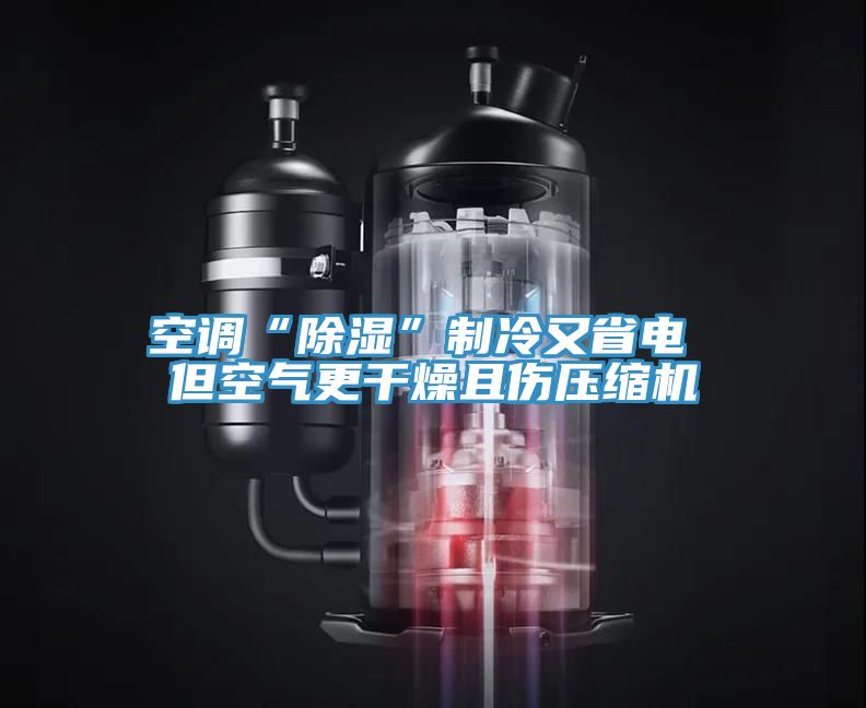 空調(diào)“除濕”制冷又省電 但空氣更干燥且傷壓縮機