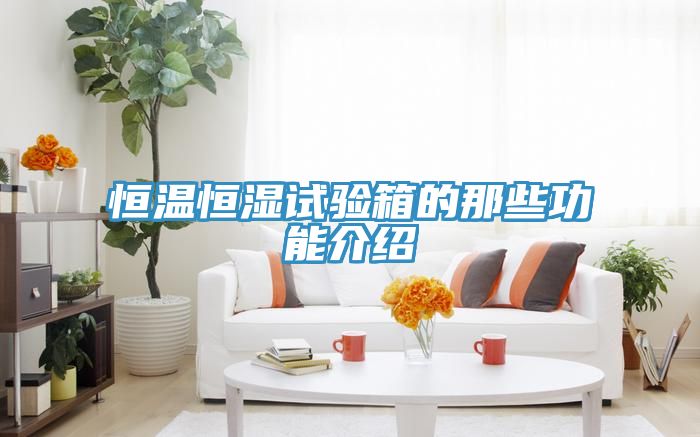 恒溫恒濕試驗(yàn)箱的那些功能介紹