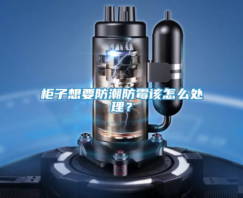 柜子想要防潮防霉該怎么處理？