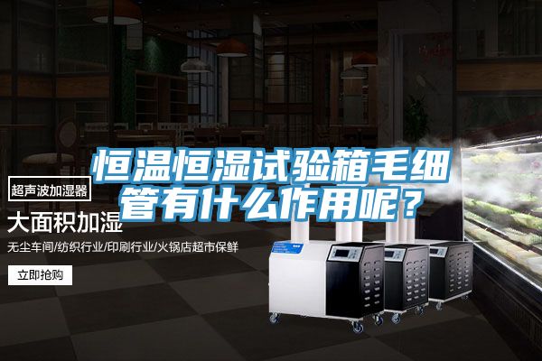 恒溫恒濕試驗(yàn)箱毛細(xì)管有什么作用呢？