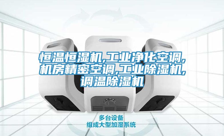 恒溫恒濕機(jī),工業(yè)凈化空調(diào),機(jī)房精密空調(diào),工業(yè)除濕機(jī),調(diào)溫除濕機(jī)