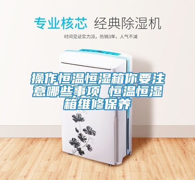 操作恒溫恒濕箱你要注意哪些事項 恒溫恒濕箱維修保養(yǎng)