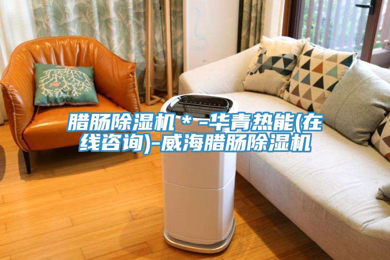 臘腸除濕機(jī)＊-華青熱能(在線咨詢(xún))-威海臘腸除濕機(jī)