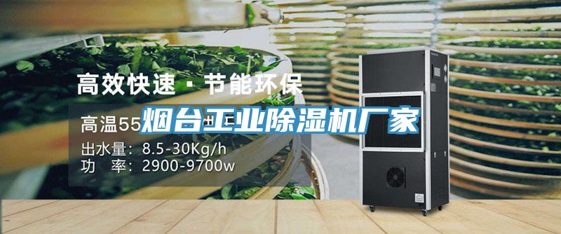 煙臺工業(yè)除濕機(jī)廠家